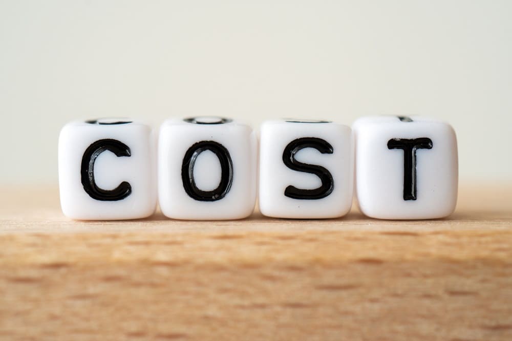顧客管理システムの導入デメリット1｜初期コスト・維持コストがかかってしまう